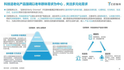 2021中國科技適老化產品研究報告 機遇、挑戰與路徑探索